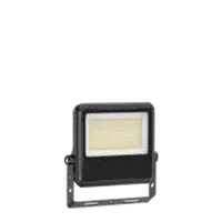 C1-FL-02A-100W