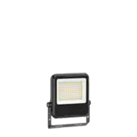 C1-FL-02A-50W