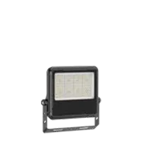 C1-FL-02B-100W