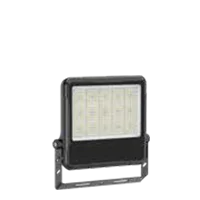 C1-FL-02B-150W