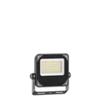C1-FL-03A-30W