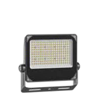 C1-FL-03B-100W