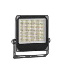 C1-FL-03B-150W