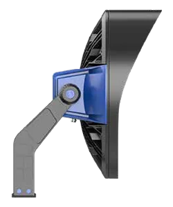 C1-SFS-01-f1